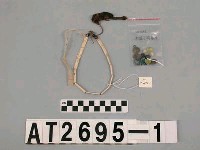 藏品(貝片頸飾)的圖片